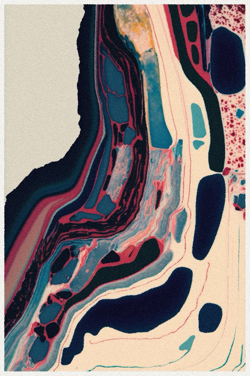 anika vendel tweet media