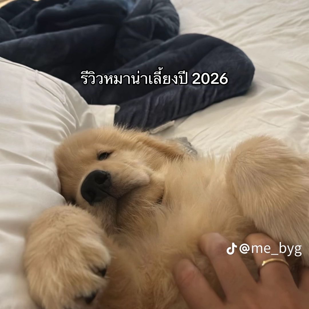 p g้o tweet media