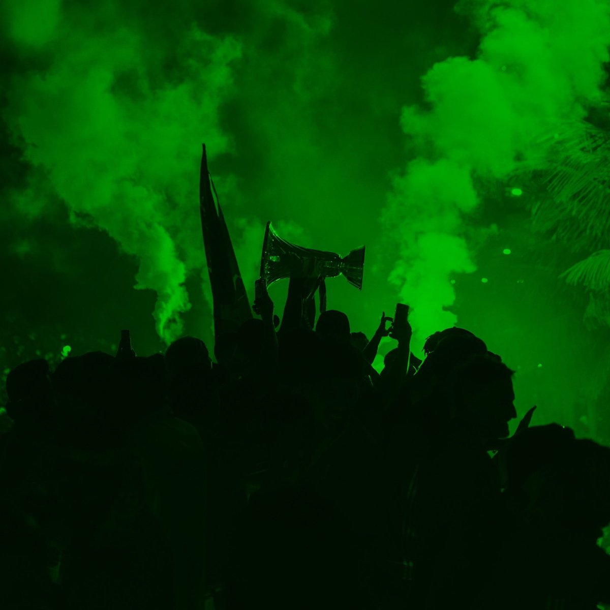 وليد سعيد tweet media