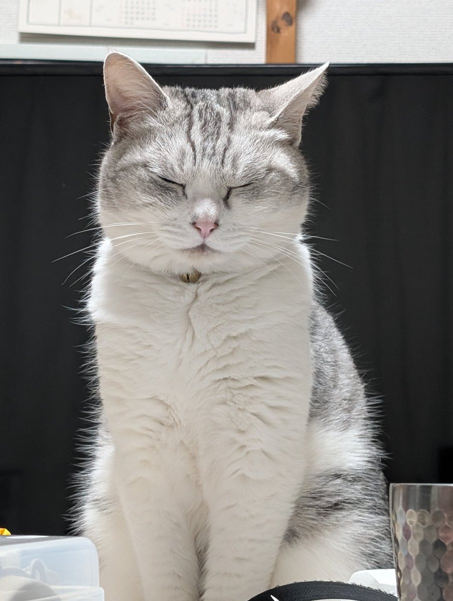 鈴木叶緒 tweet media