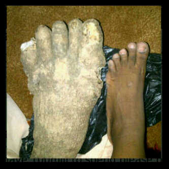 Ugo Lagos tweet media