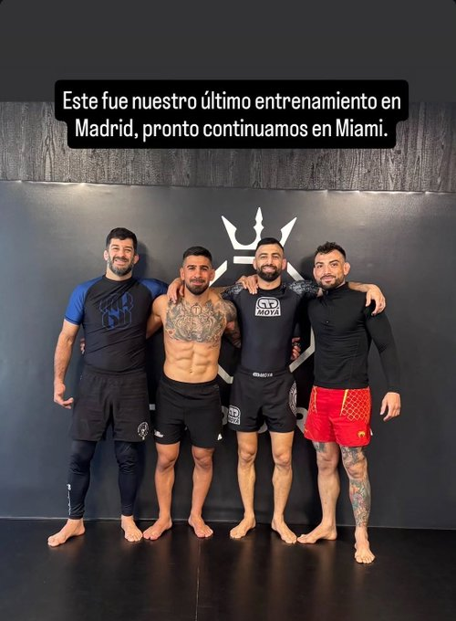 primeira fase tweet media