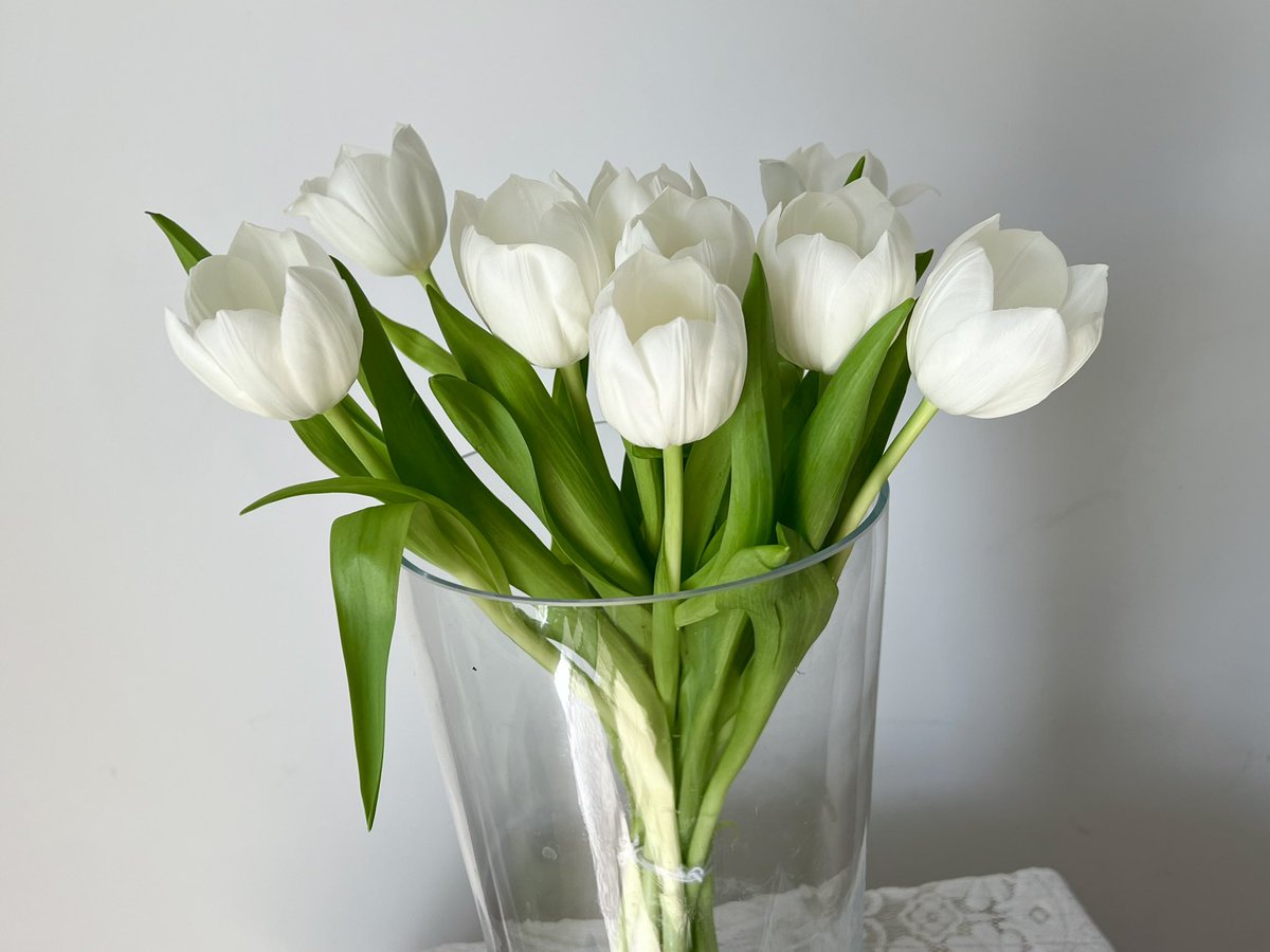 had an awful day so i bought myself some beautiful white tulips
