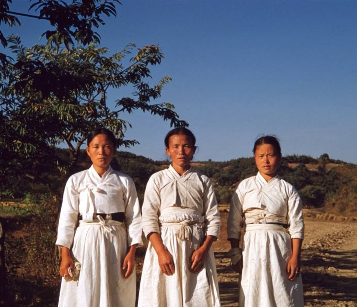 늘푸른소나무 tweet media