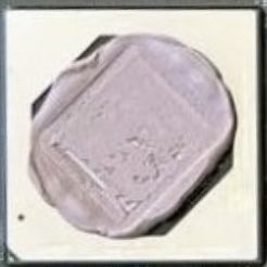 ElonTimes tweet media