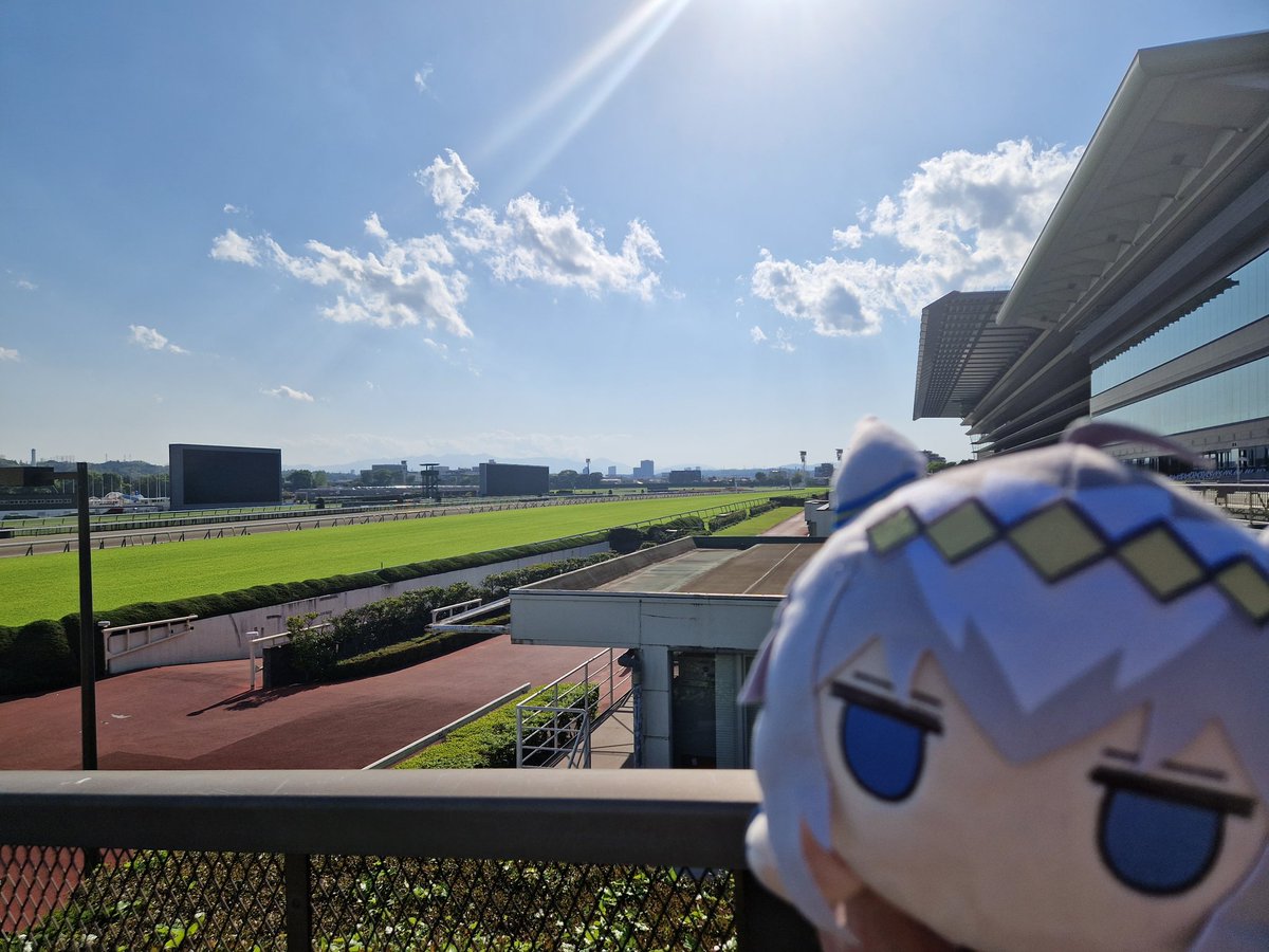 Jonpetit tweet media