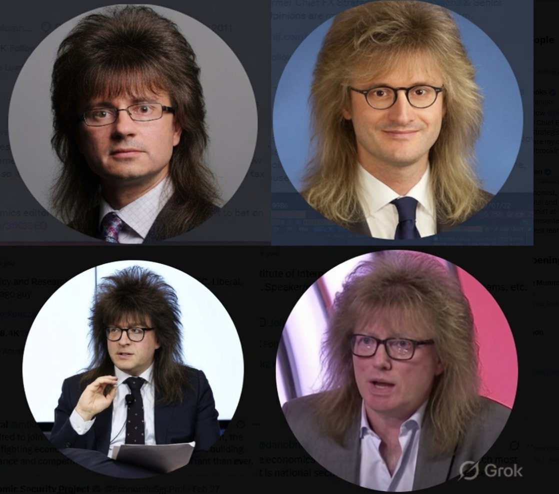 Robin Brooks tweet media