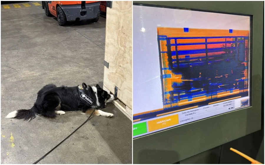 Metrópoles tweet media