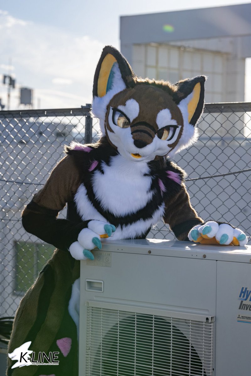 扉守/Himori tweet media