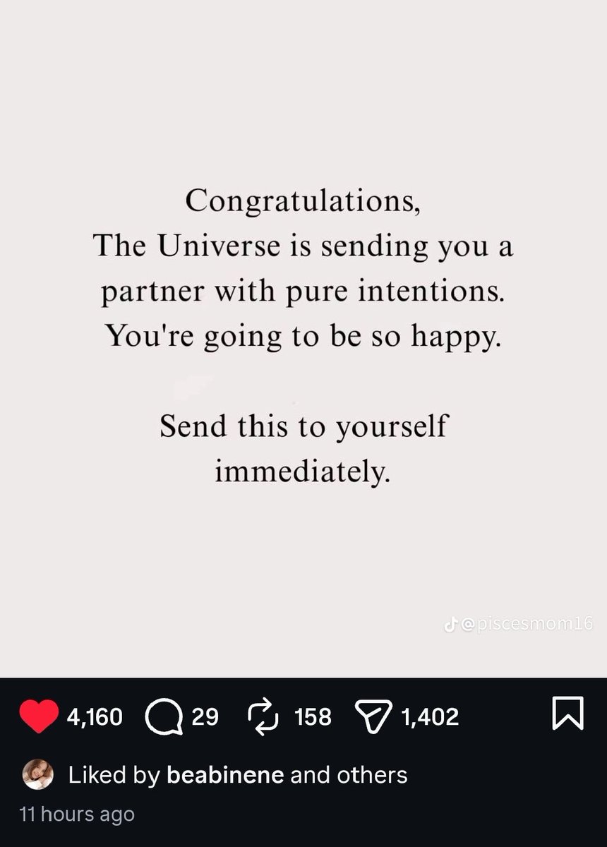 🌅🐻 tweet media