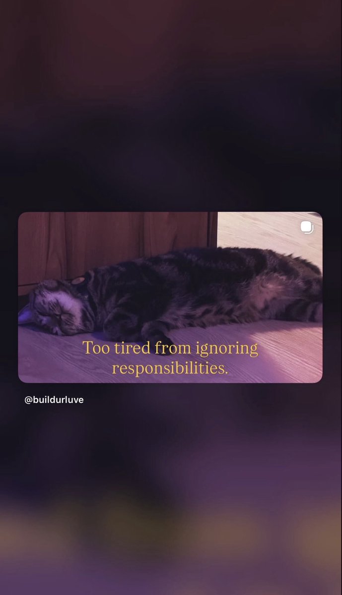 Build_Family FC tweet media