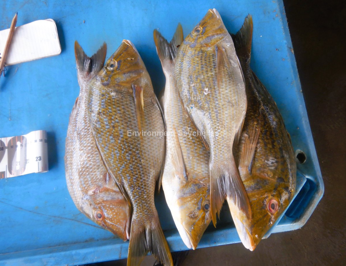 John Nevill tweet media