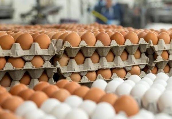 Statsfrica tweet media