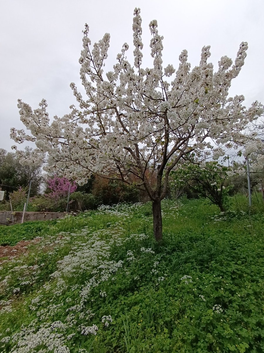 artemis.🍉🍉 tweet media