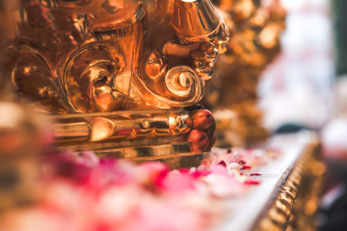 Banda del SôL tweet media