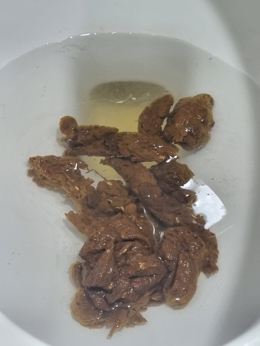 Domina_judy's tweet photo. Good thing I have a sub to eat my shit 💩 out of the toilet 🚽 😊 https://t.co/DlZMJyTu5l