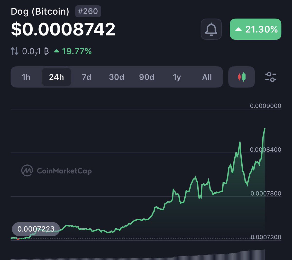 DOG•DA•MASSA tweet media