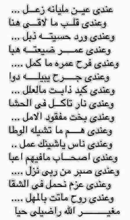 Algaidi()الهلالي() tweet media