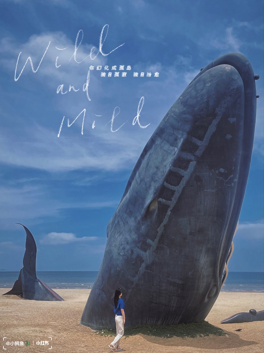 정새담 tweet media