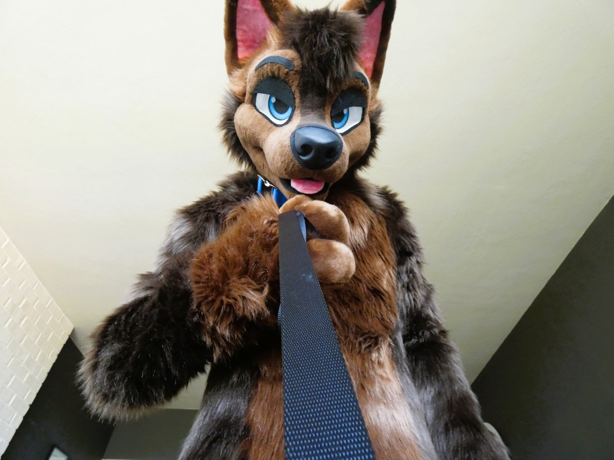 djkillerbas (treble the wolf) tweet media