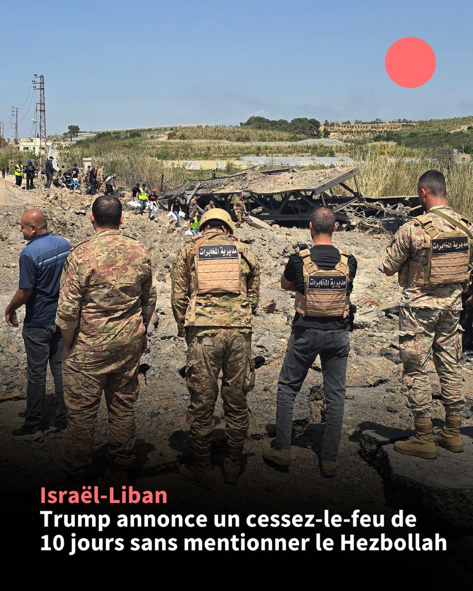 Agence France-Presse tweet media