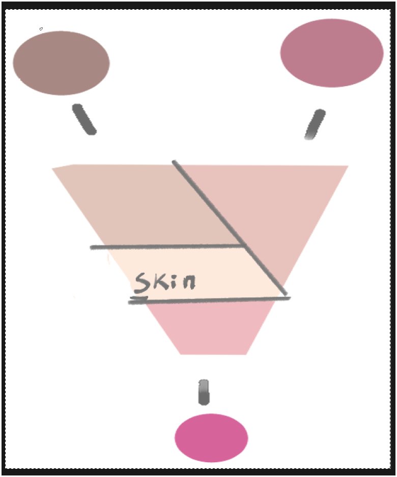 Miss Mina🐟🪸 tweet media