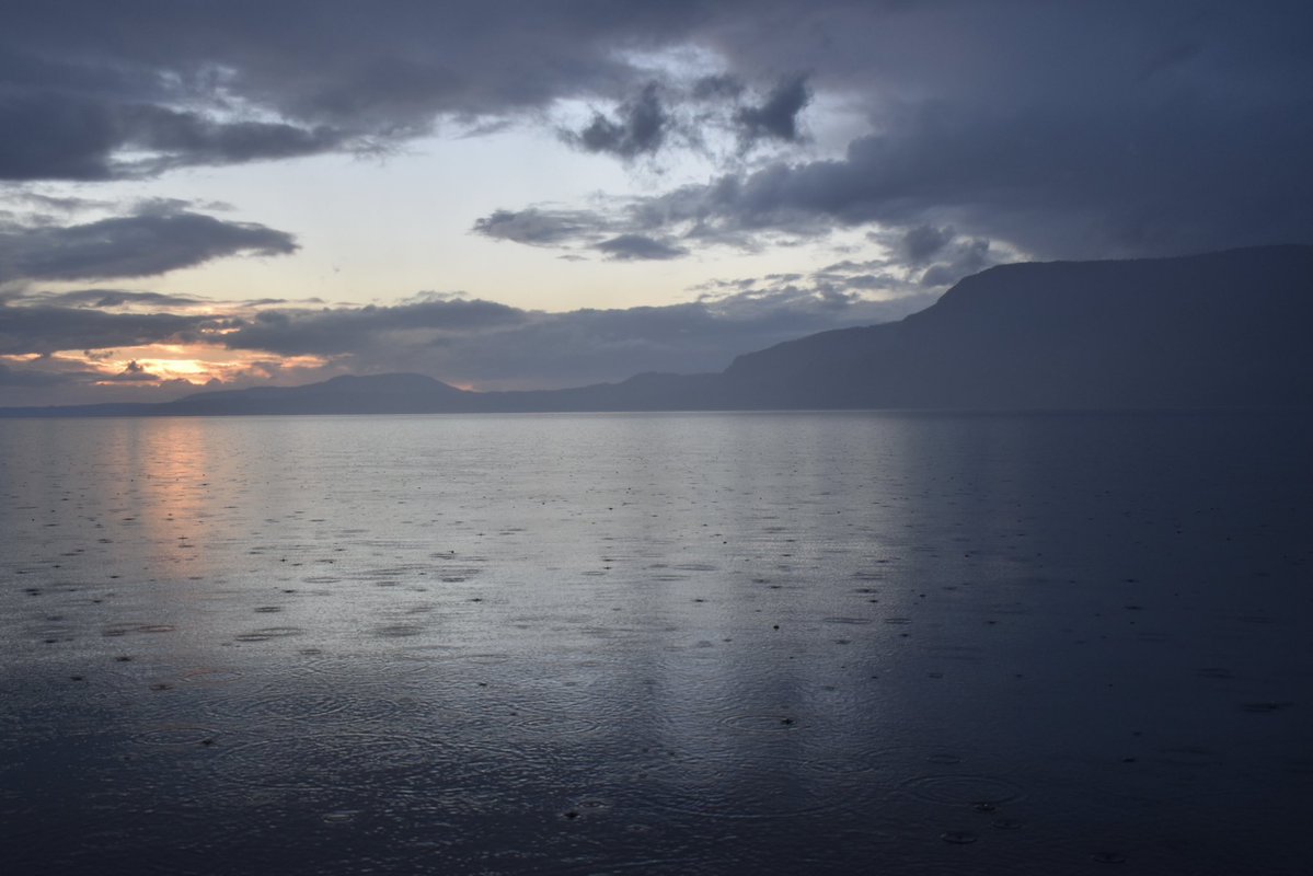 cece 𖦹 tweet media