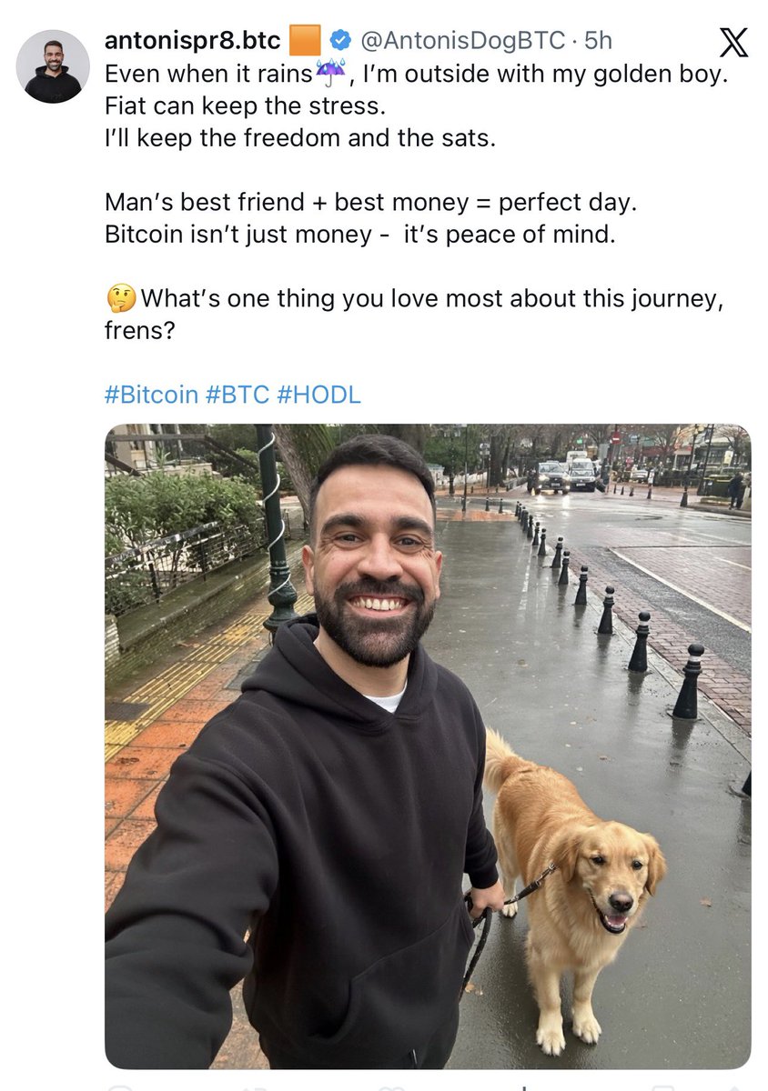 Antonis Prasinos tweet media
