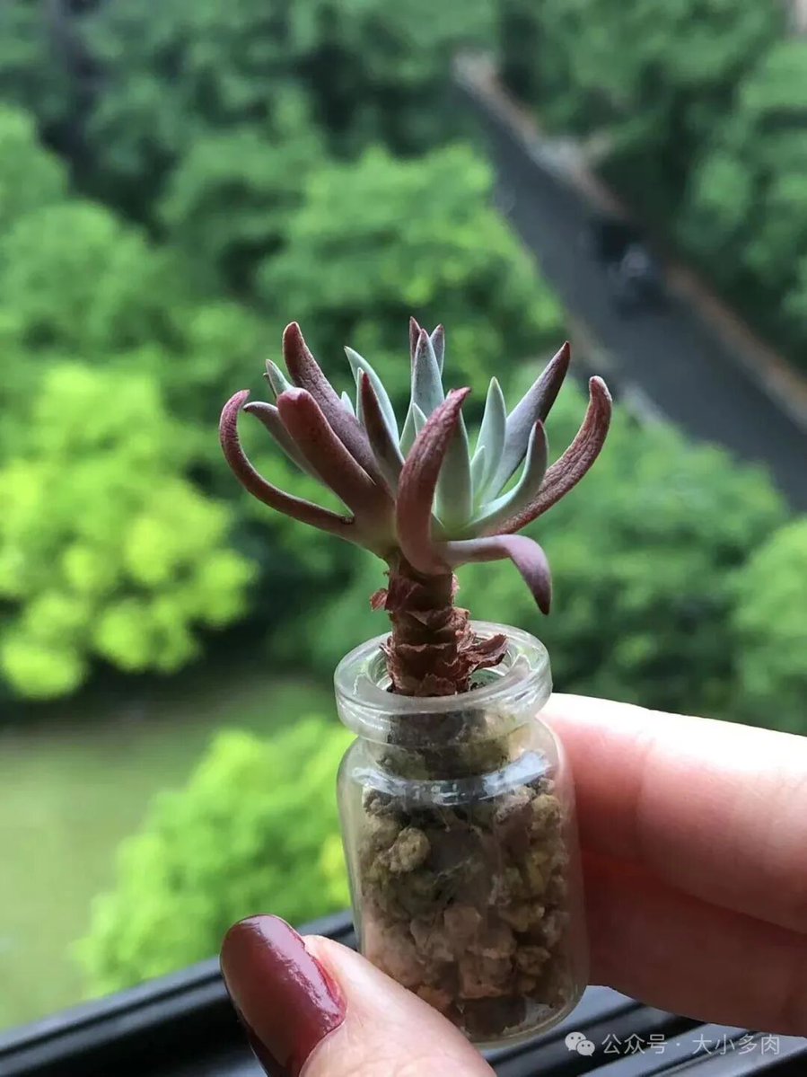 Ömer Kızılaslan tweet media