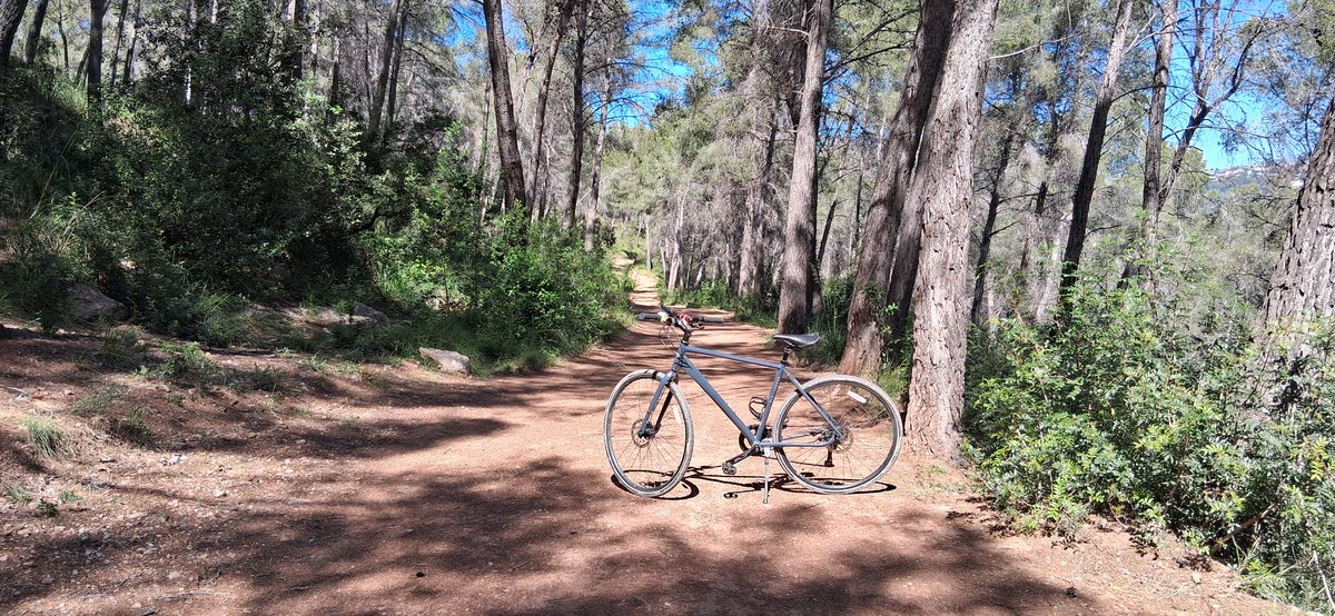 jairoalonso's tweet photo. Day 16 of 30. Before to start working while I was commuting, I've been having a forest bath at natural paths of El Baix Llobregat countryside on limits of Garraf Natural Parc. #AMBbici #30DiesAmbBici @bicicletaAMB @30diesambbici @30diasenbici @xarxadeparcs @bricklanebikes @komoot https://t.co/c2j4mX21UT