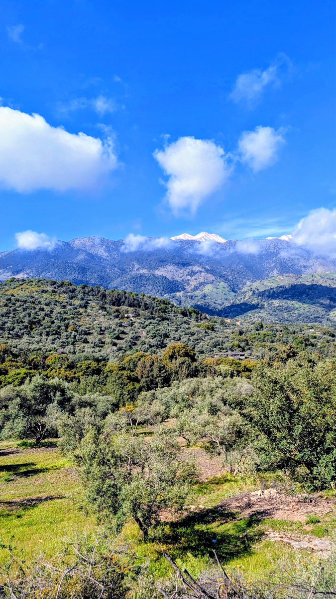 CKTH85's tweet image. Road Trip auf #Kreta.
🌤️🌎✈️🌴🏞️⛰️🌊🏖️🥾🏊🏻‍♂️
20 📸 von unterwegs, des Chrysoskalitissa Kloster (existierte wahrscheinlich bereits zur Zeit der Venezianer), der Aradena Brücke (mit 138m höchster Bungee Jump Griechenlands) und des Kournas-See (einziger Süßwassersee der Insel).