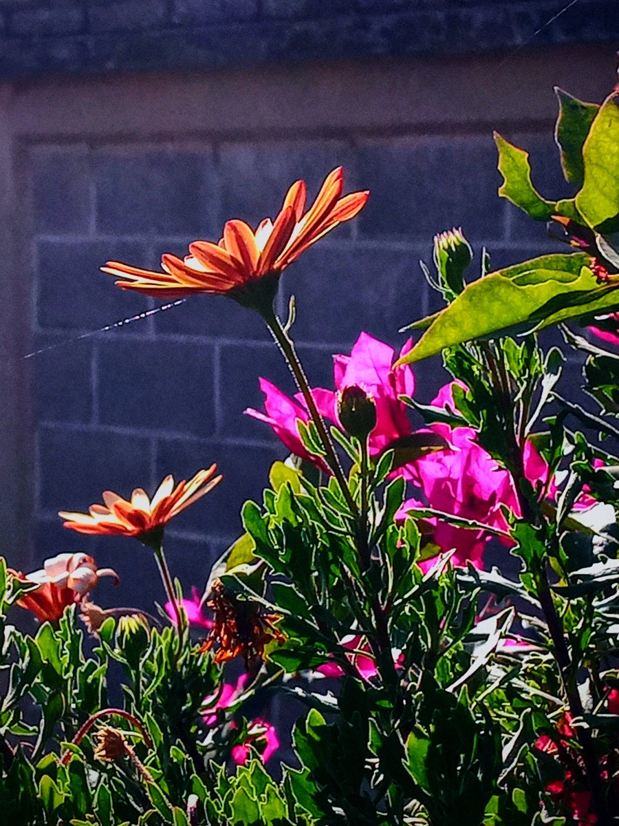 a_issigonis's tweet image. #photo #photoaday

Color corrected...