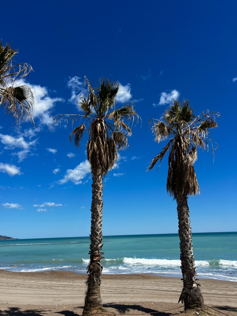 Chill Pill 🔮 (Bald) tweet media