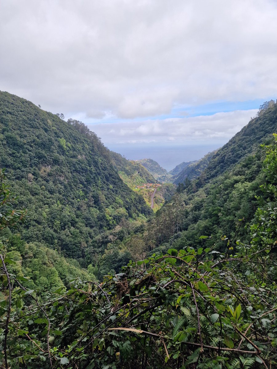 Madame Svea tweet media