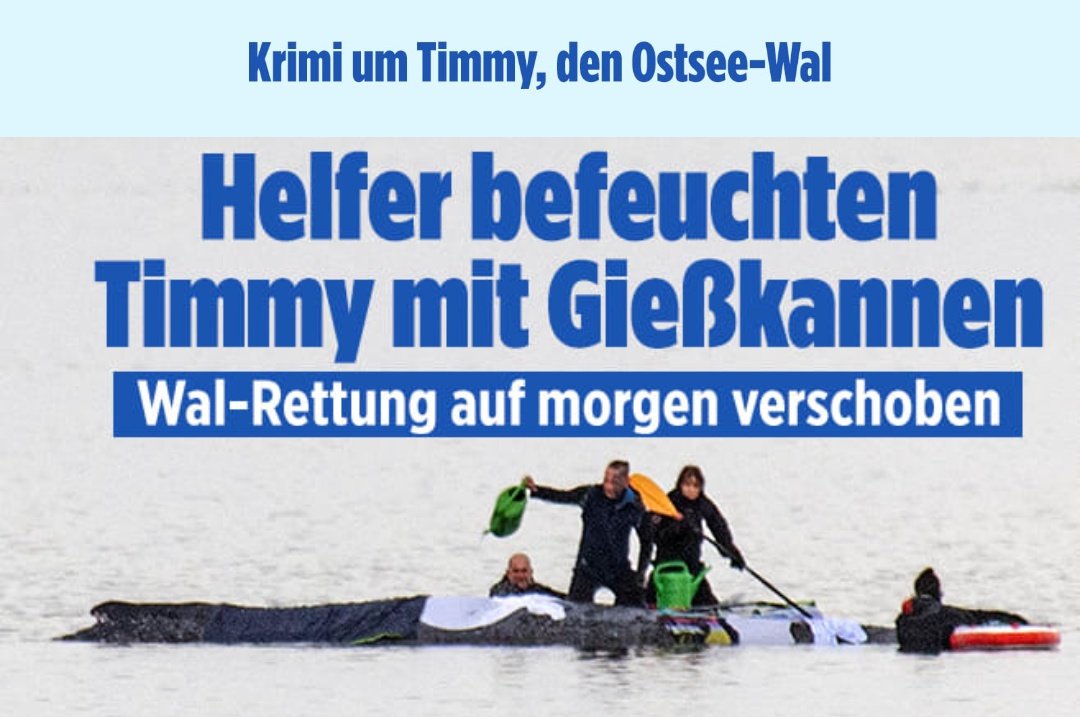 Siegvarg tweet media