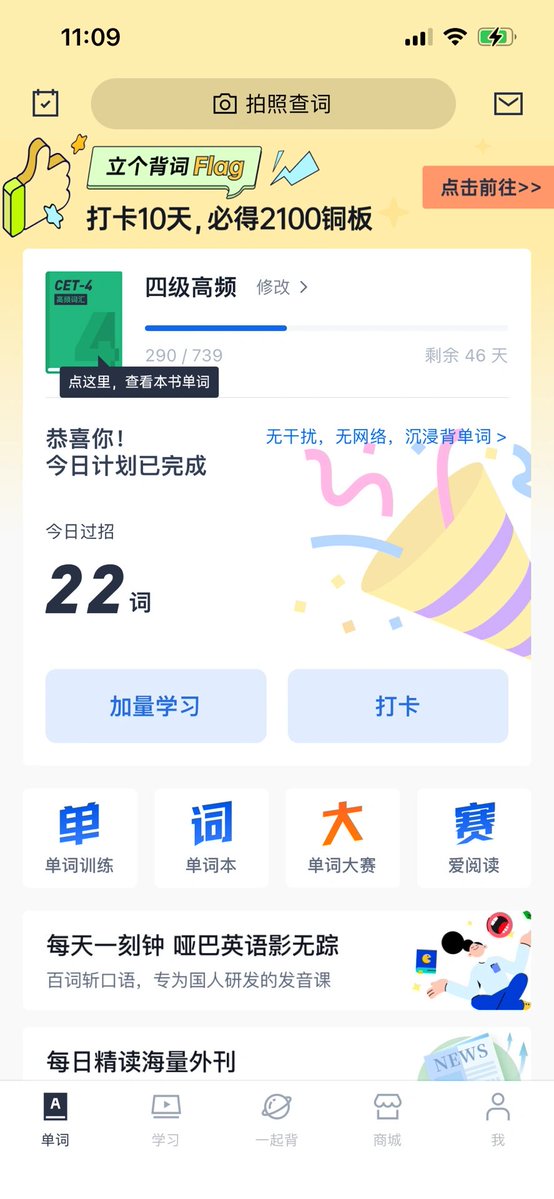 Amanda Luz tweet media