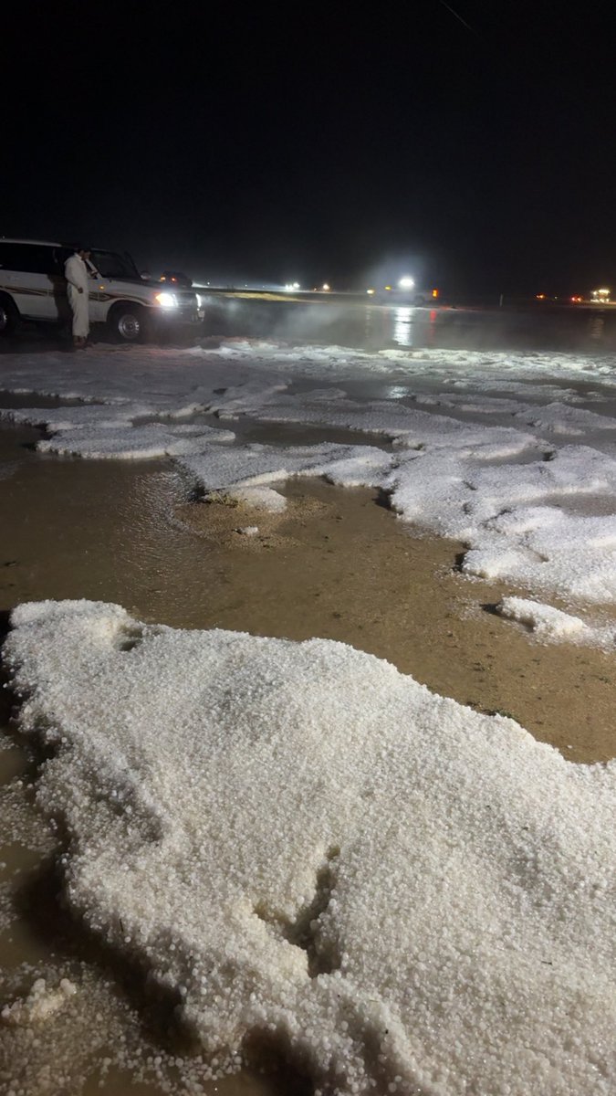 عساف البدراني tweet media