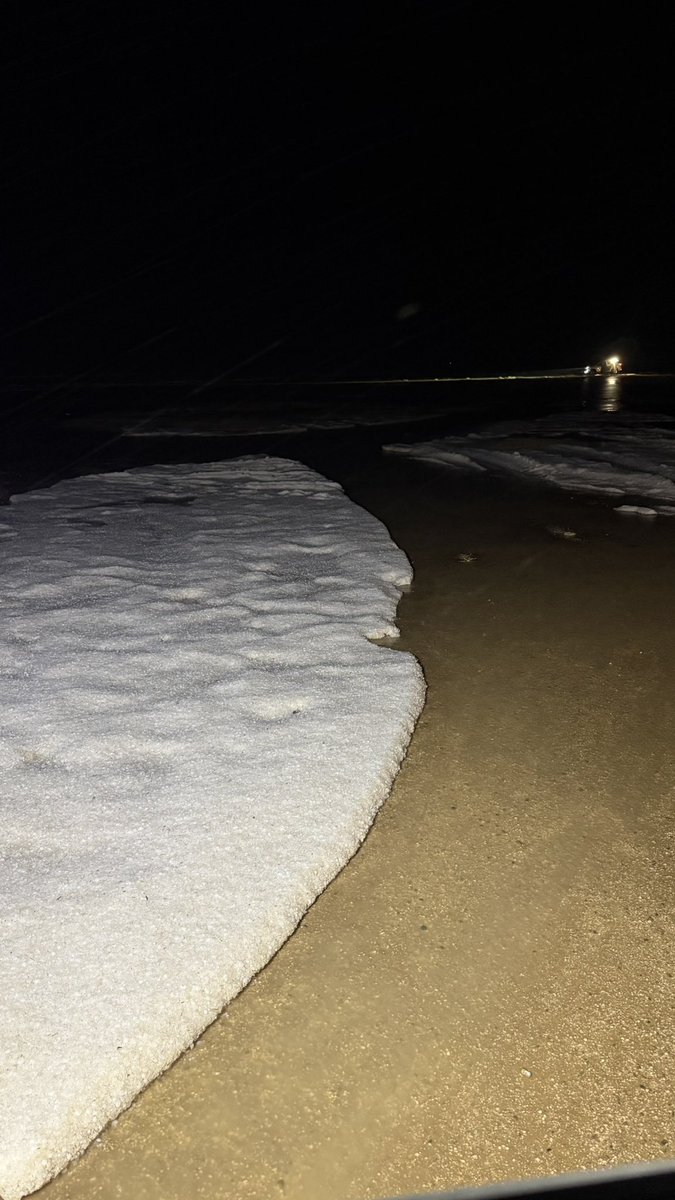 عساف البدراني tweet media