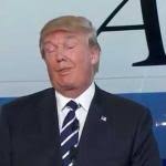 Spit Mahoney tweet media