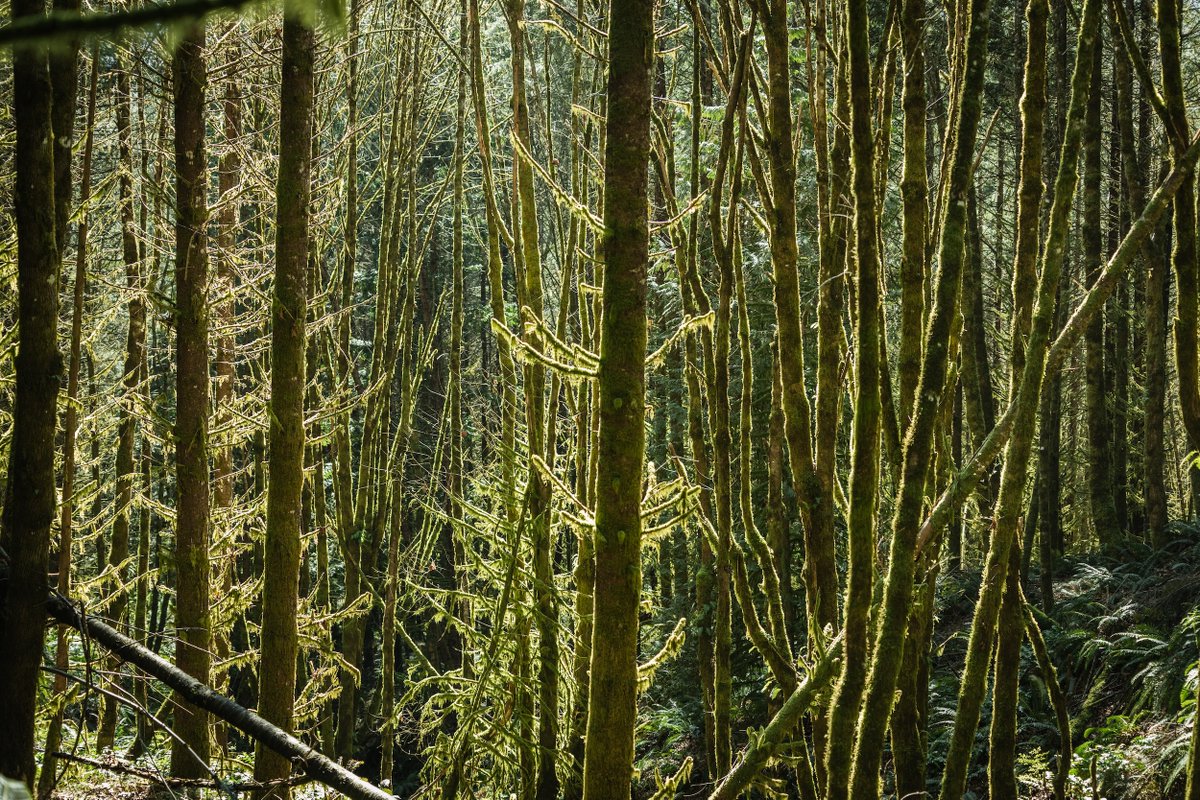 Trail Builder Magazine tweet media