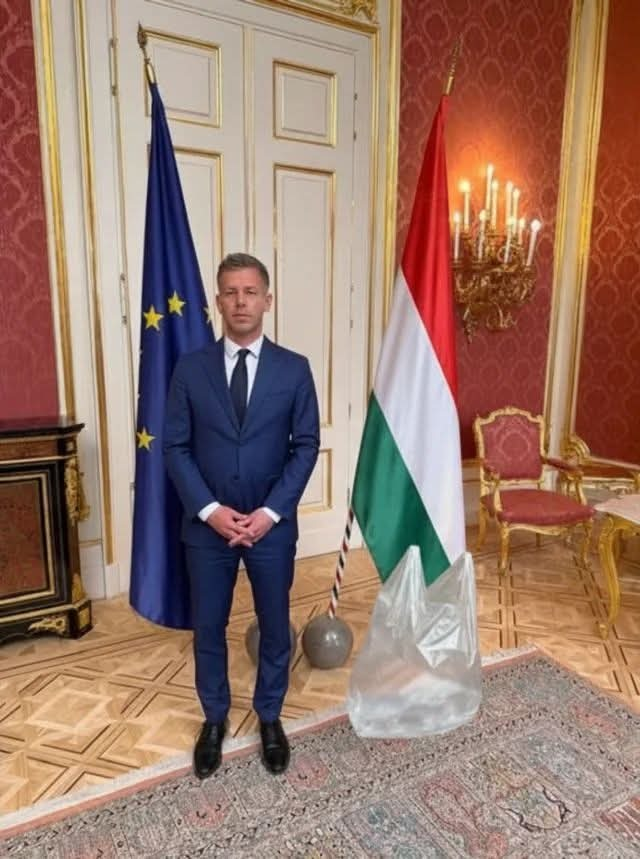 Gabor Hermann🇭🇺🇪🇺🇺🇦 tweet media