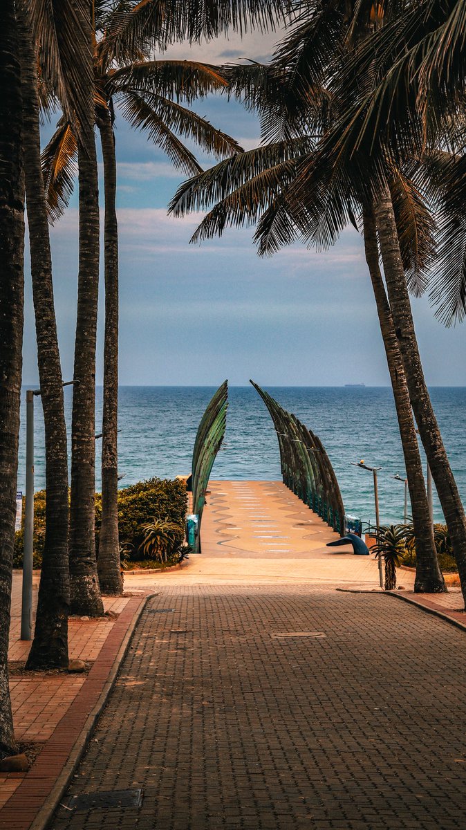 Sinethemba. tweet media