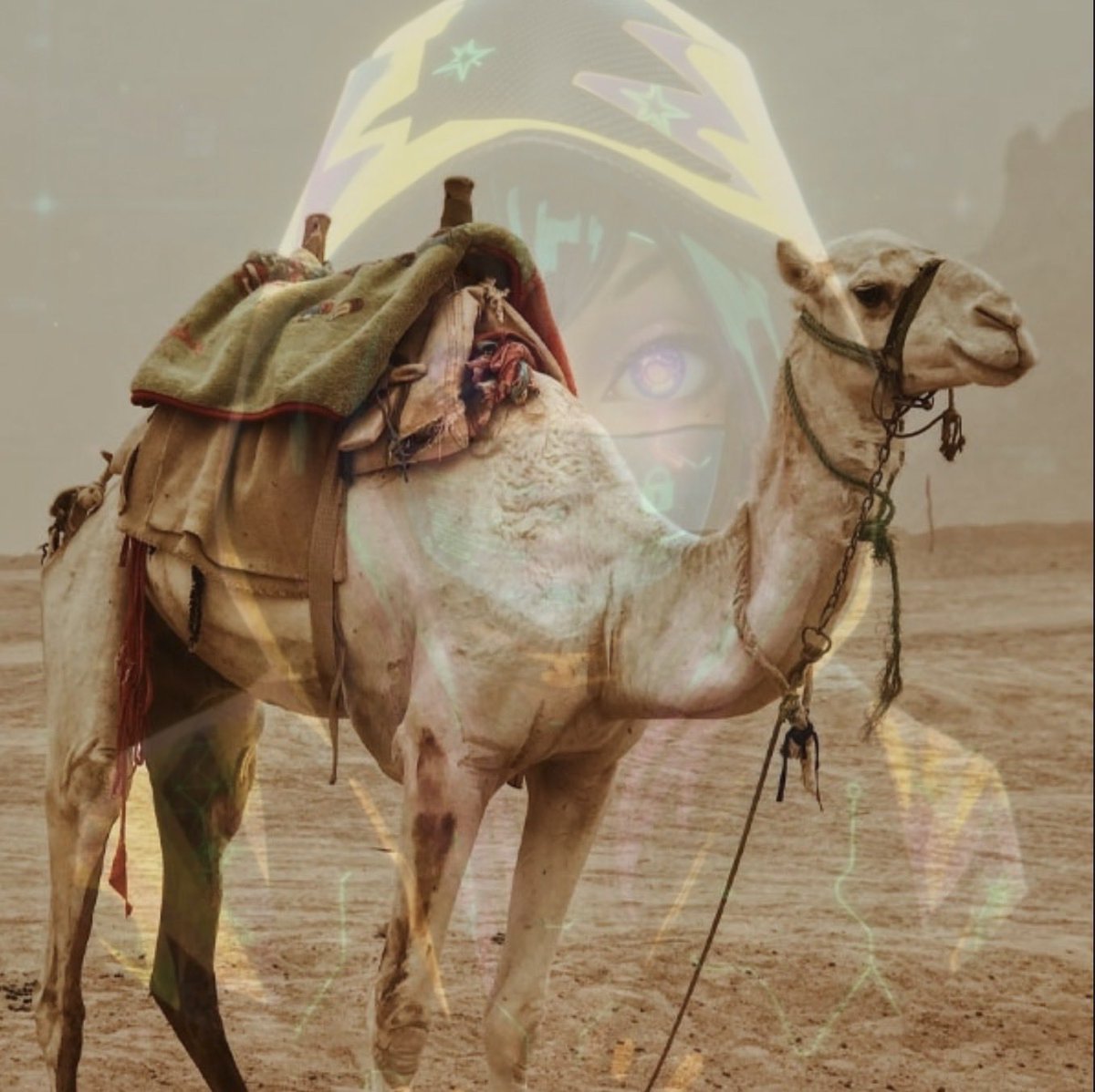 المحققة 🕵🏻♀️⭐️ tweet media