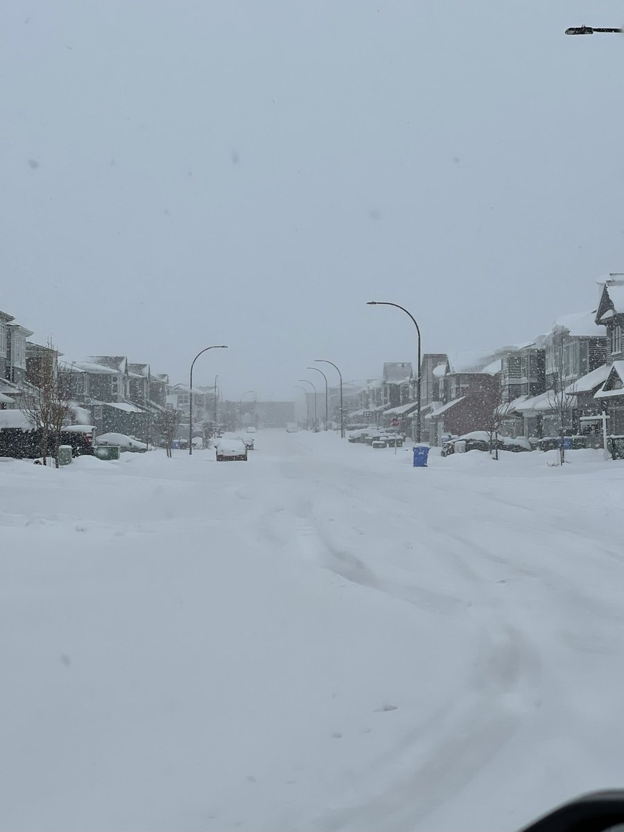 Let it snow let it snow let it snow❄️ #yyc #abstorm 10:19am