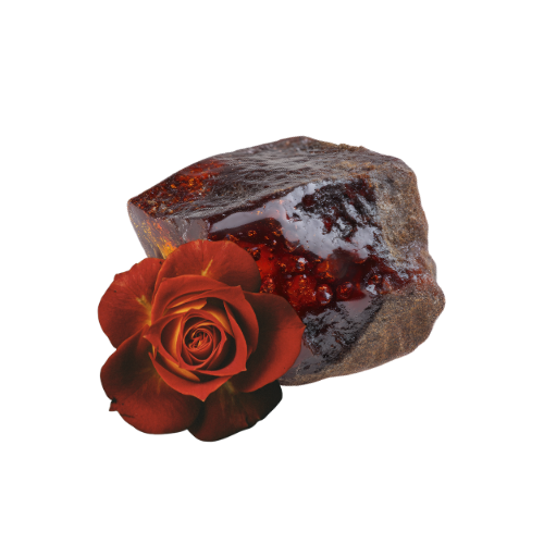 ⃝ ༒︎•ˎ tweet media