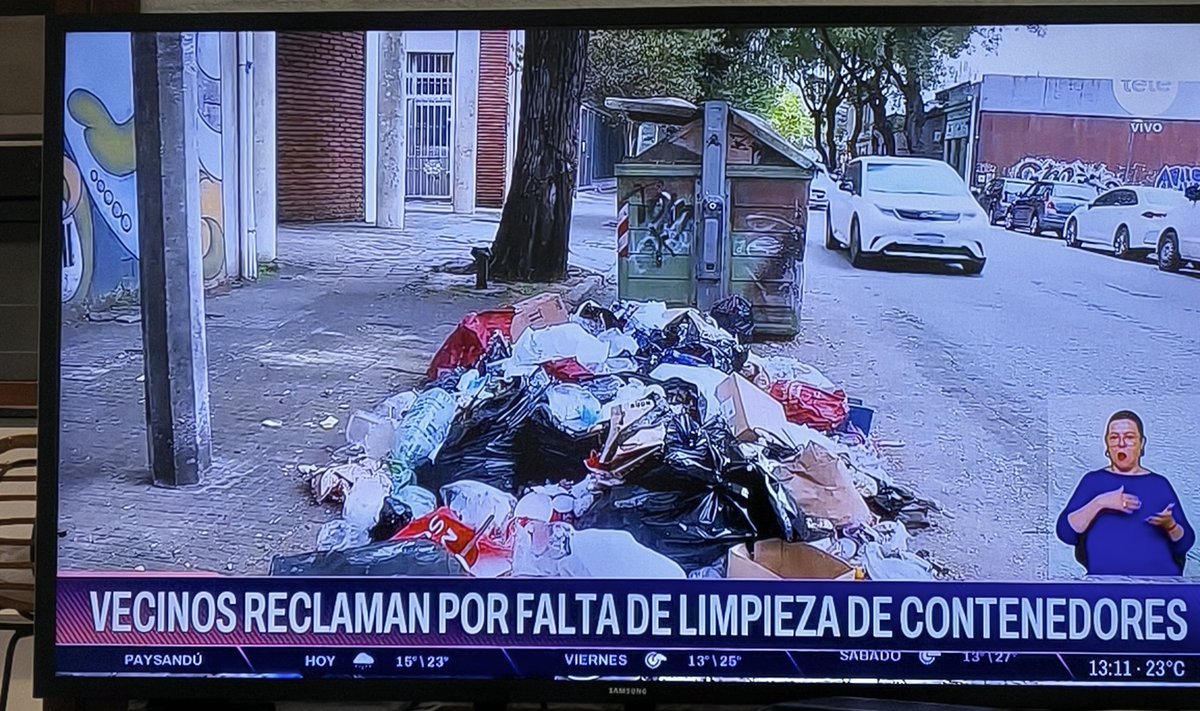 Javier tweet media