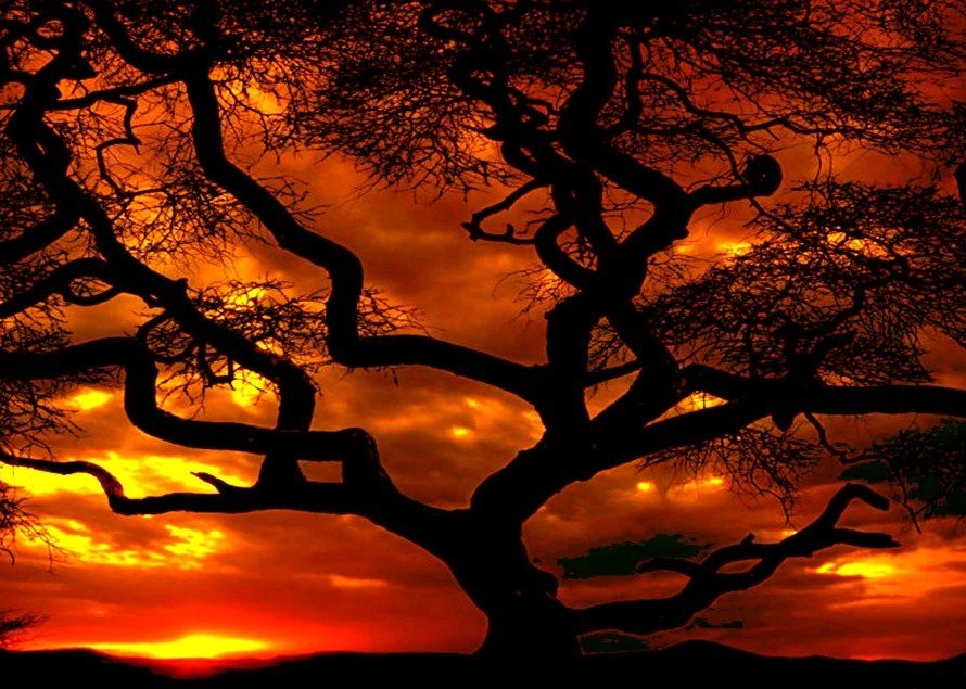 pocs80's tweet image. For all my Followers &amp;amp; X (Twitter) Friends 
#TakeCare