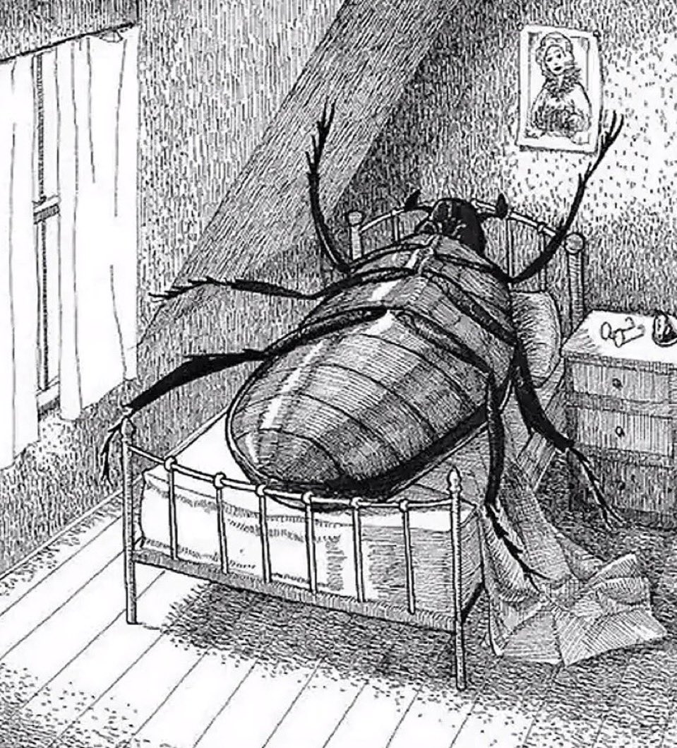 fast 시계쨩 tweet media