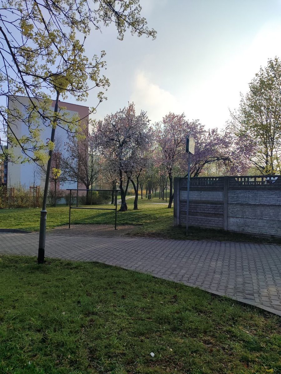 this feels like a true spring 💚