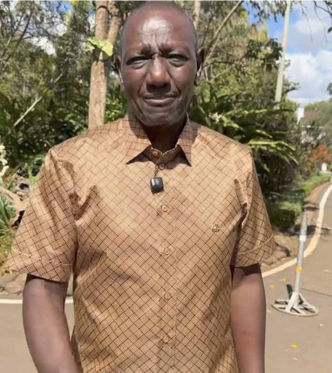 TL Elder 2 tweet media